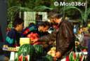 MOS038CR.JPG